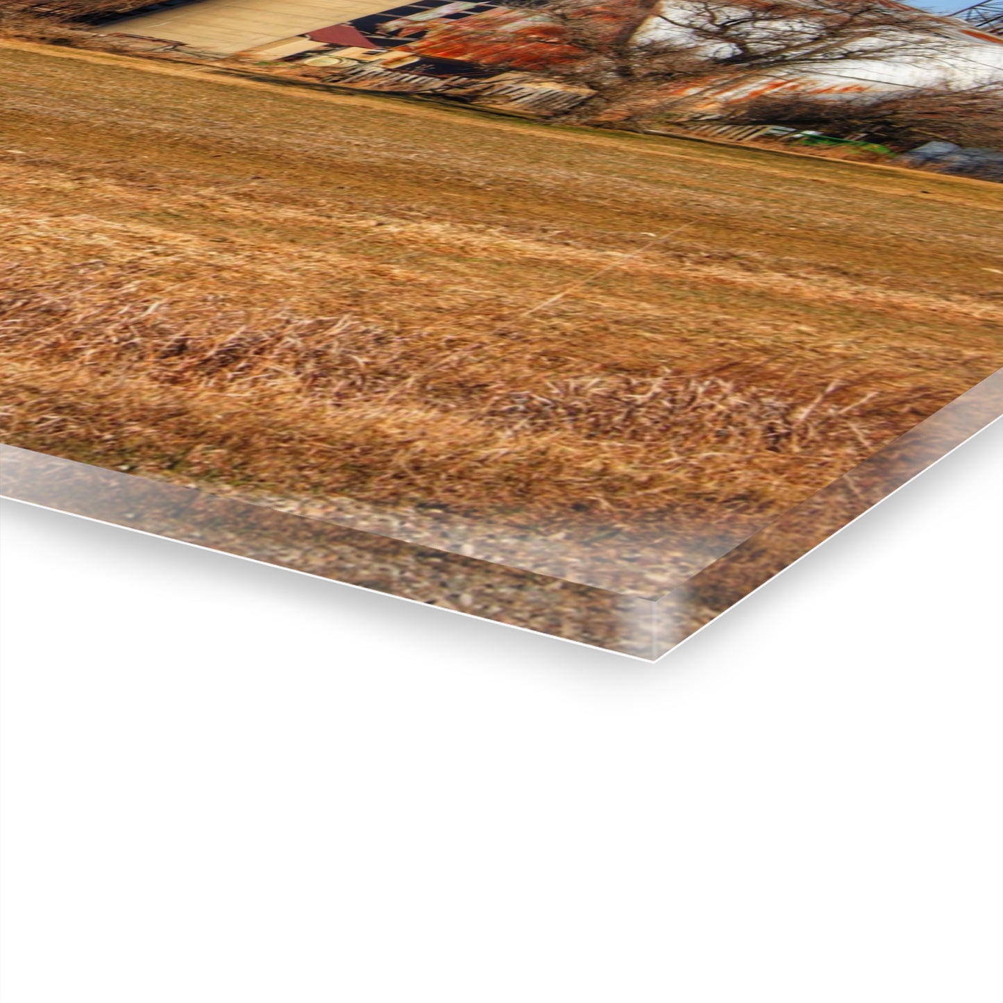 U R There Photography North Cemetery Roads Forgotten Grey Rustic Farmhouse Acrylic Wall Print