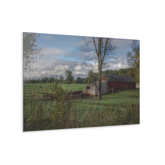 U R There Photography West Oregon Road Hidden Red IV Rustic Farmhouse Acrylic Wall Print