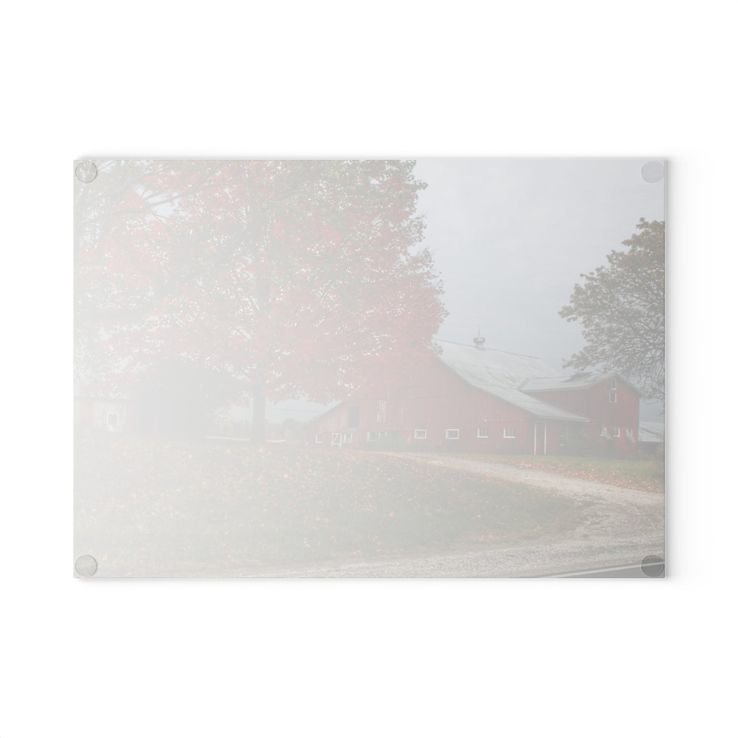 U R There Photography Goodrich Baldwin Road Reds II Rustic Farmhouse Tempered-Glass Cutting Board