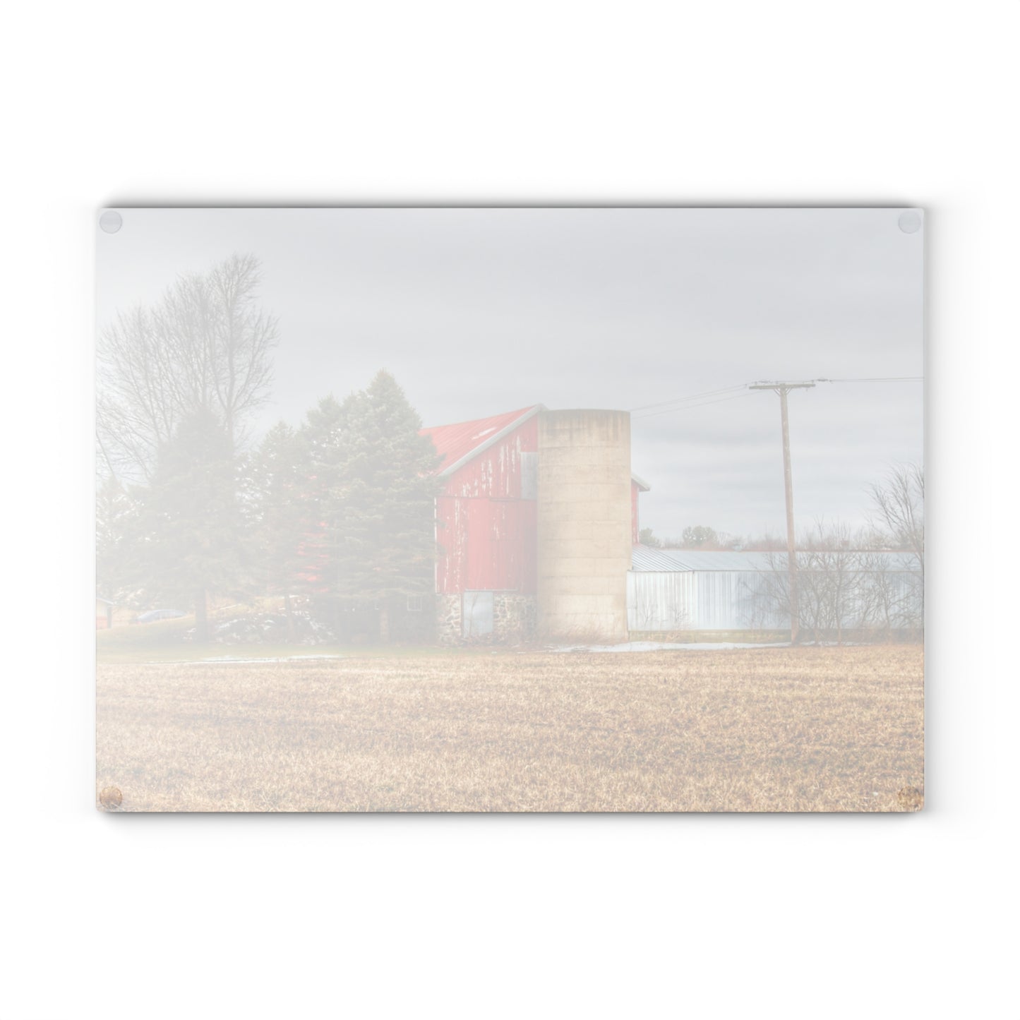 U R There Photography Laur Road Red Among the Pines I Rustic Farmhouse Tempered-Glass Cutting Board