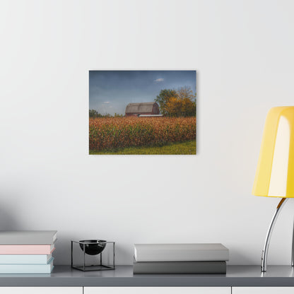 U R There Photography Clifford Road Red III Rustic Farmhouse Acrylic Wall Print
