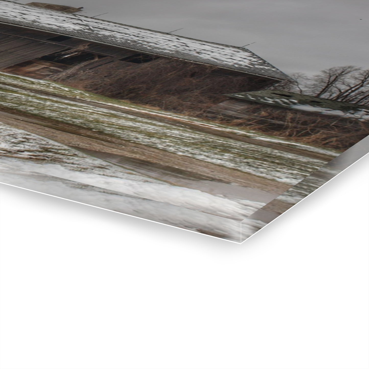 Wilder Road Grey in Spring Rustic Farmhouse Acrylic Wall Print