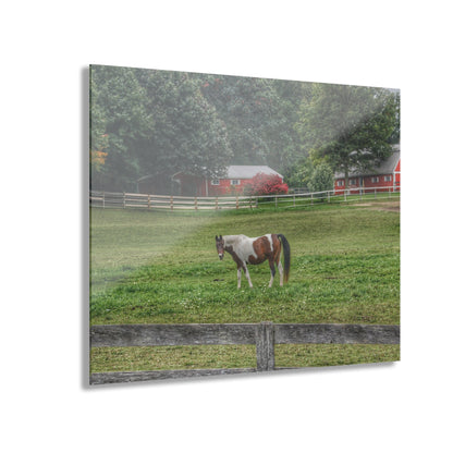 U R There Photography Painted Pony in Pasture Rustic Farmhouse Acrylic Wall Print