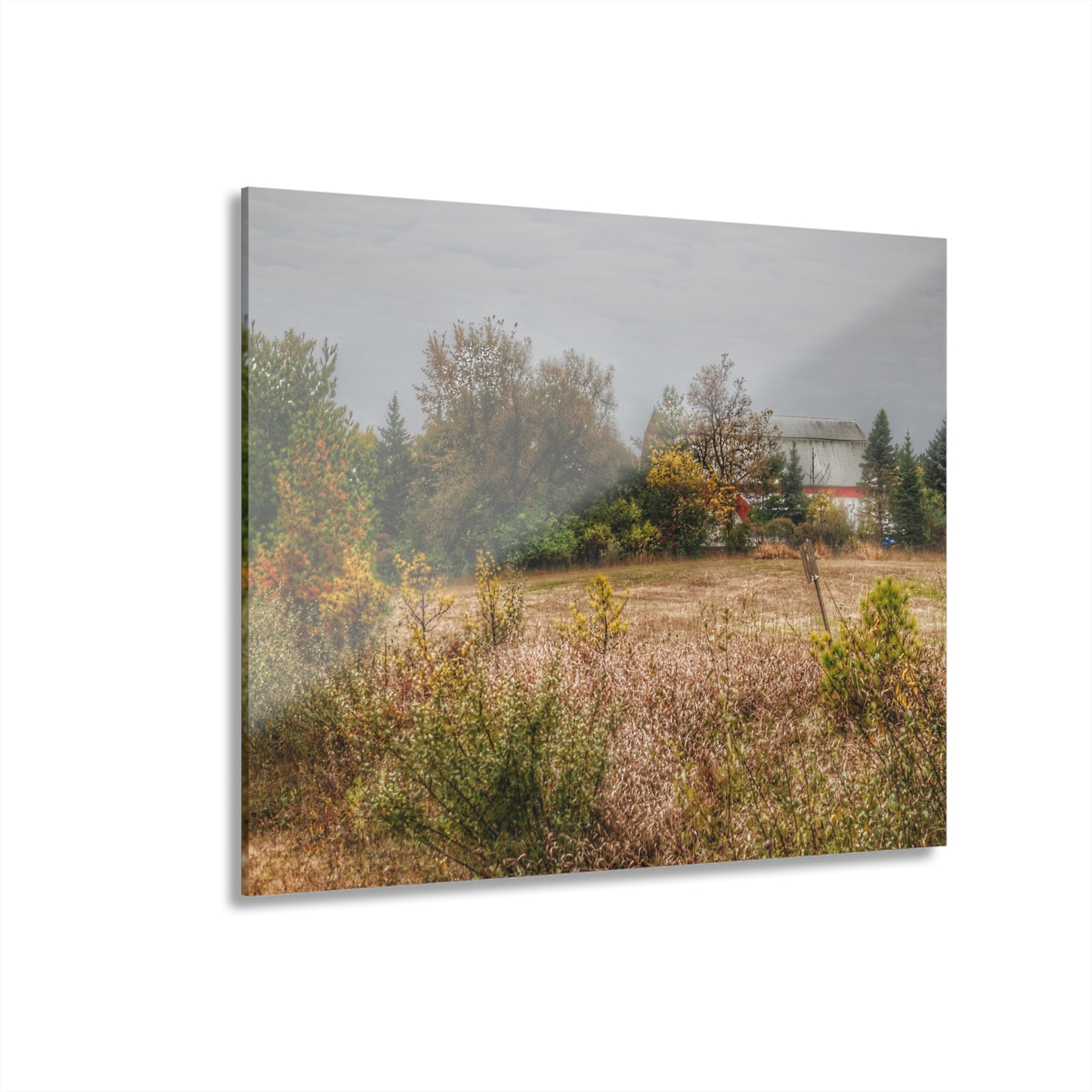 U R There Photography Hadley Road Hidden Red in Fall Rustic Farmhouse Acrylic Wall Print