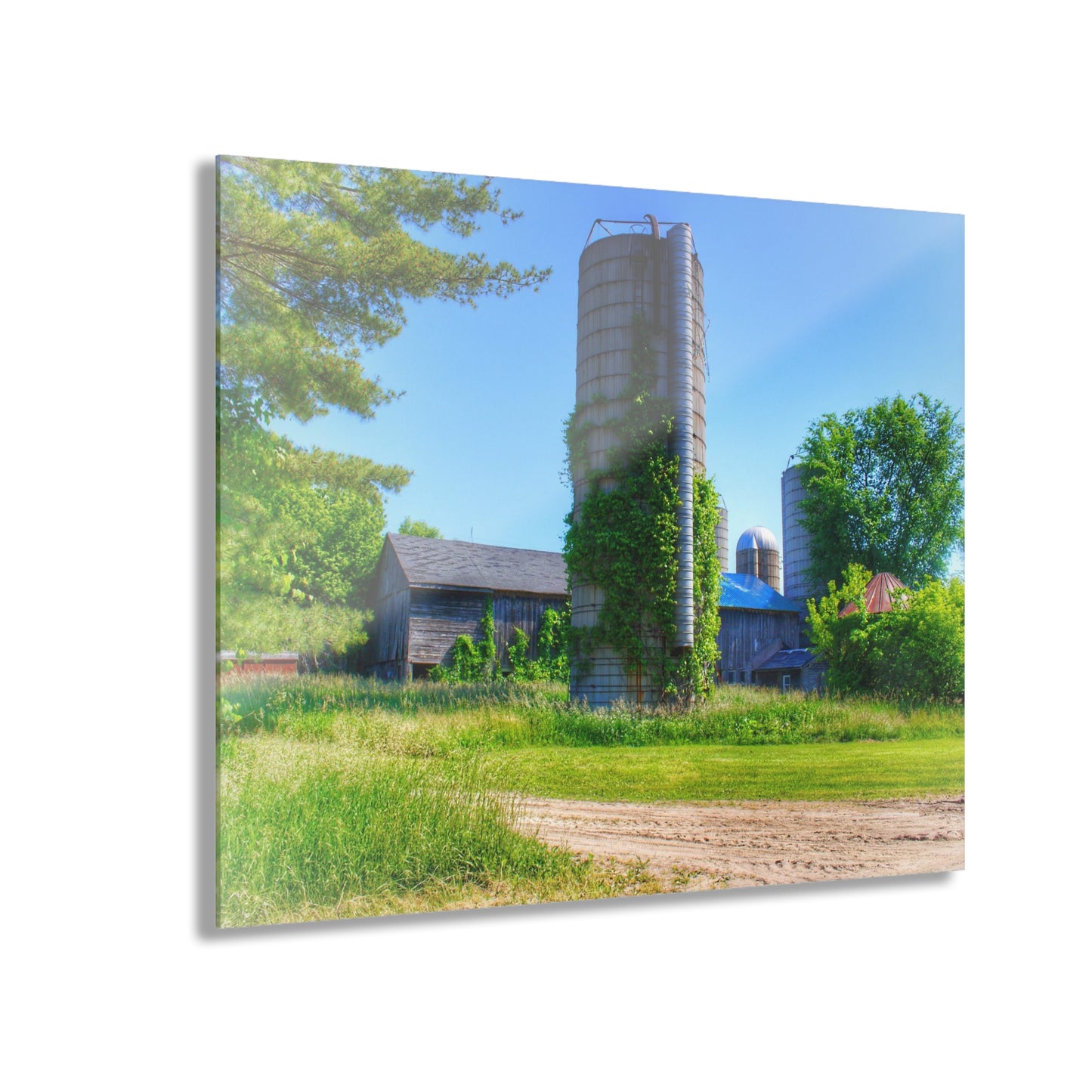 U R There Photography Bordman Road Old Grey and Silo II Rustic Farmhouse Acrylic Wall Print
