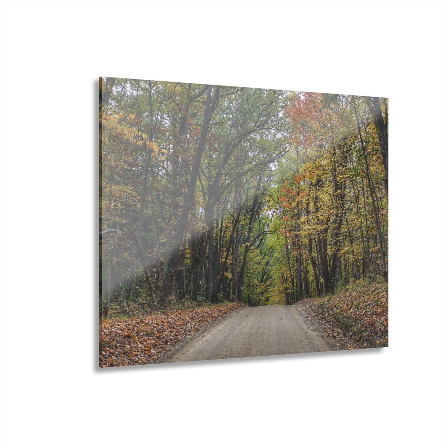 U R There Photography Country Roads in Dryden III Rustic Farmhouse Acrylic Wall Print