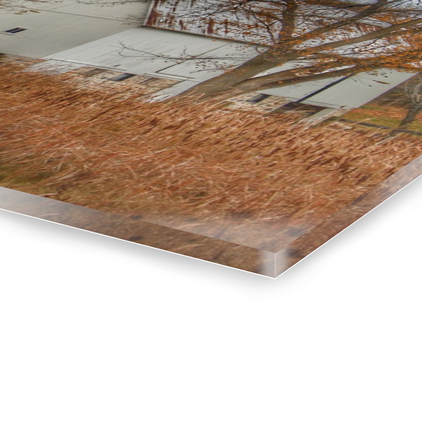 U R There Photography East Oakwood White Rustic Farmhouse Acrylic Wall Print