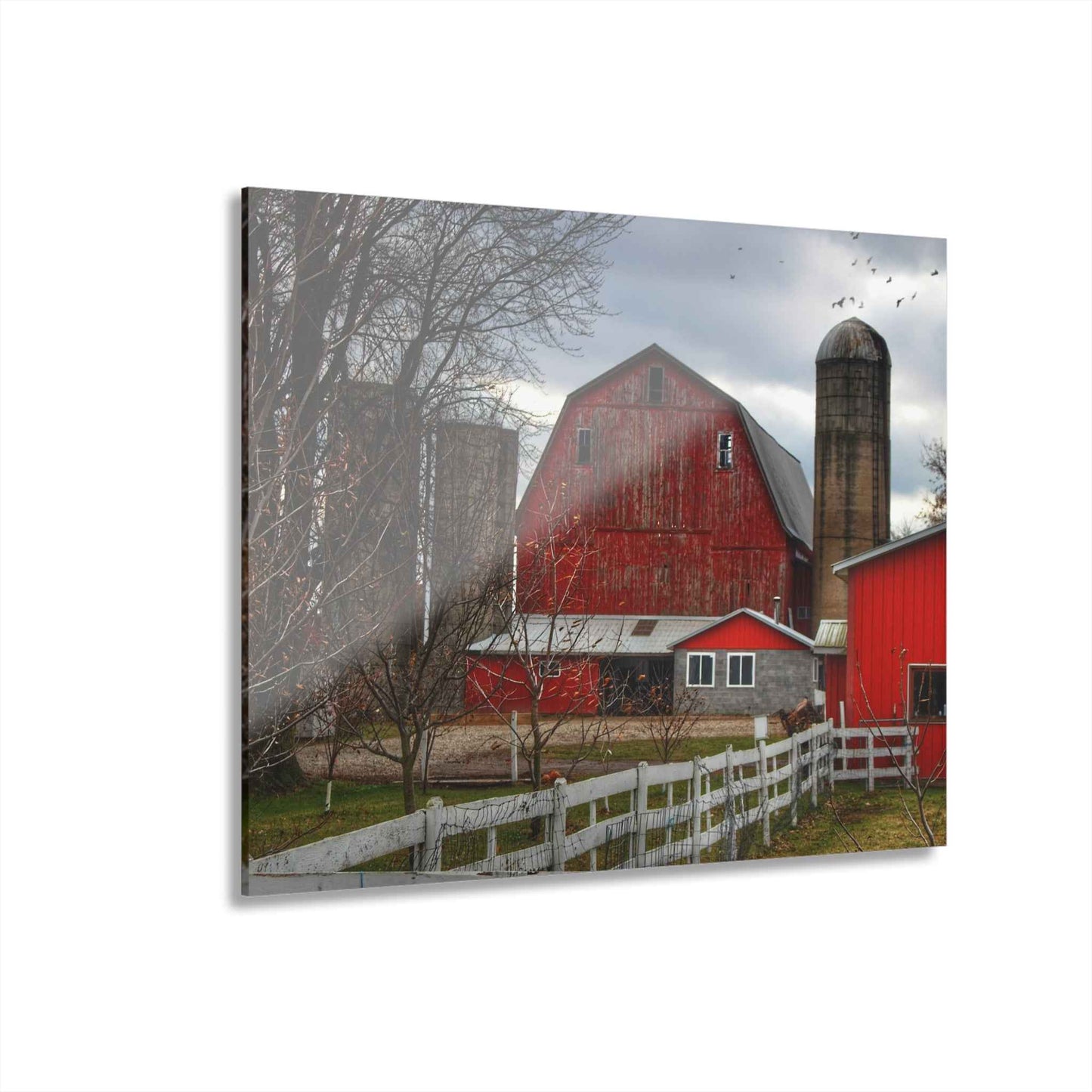 U R There Photography Peck Red Rustic Farmhouse Acrylic Wall Print