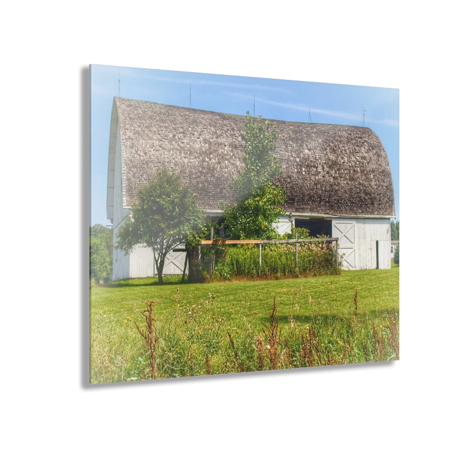 U R There Photography Country White Rustic Farmhouse Acrylic Wall Print