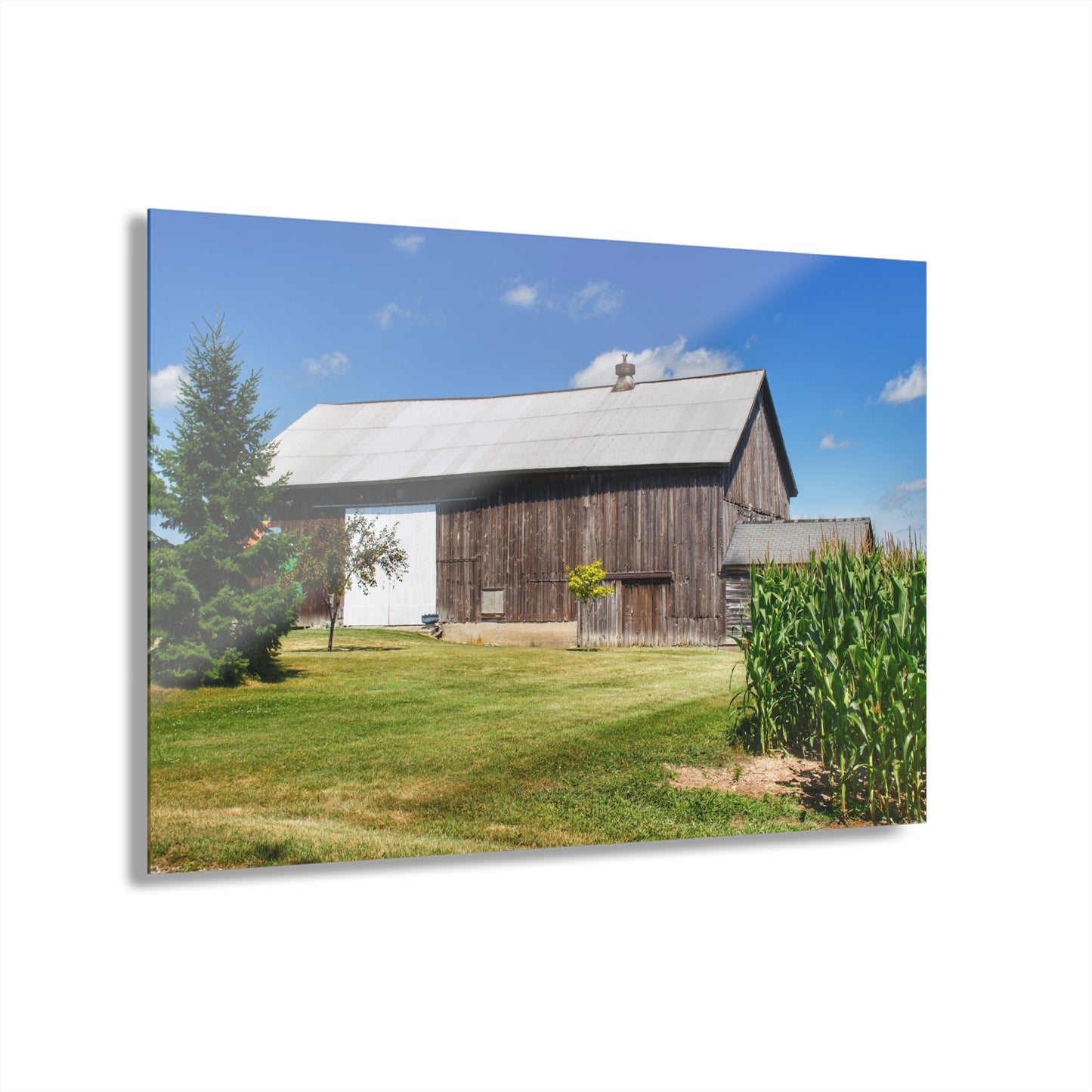 U R There Photography Frog Barn Rustic Farmhouse Acrylic Wall Print