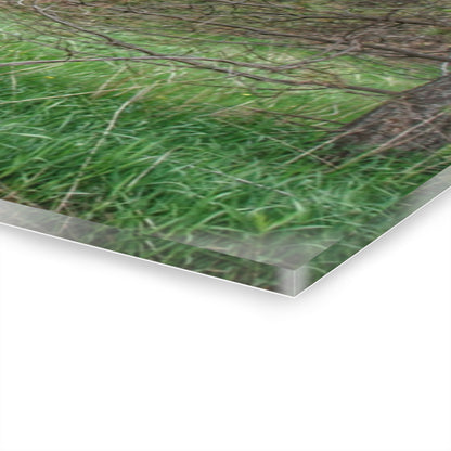 U R There Photography Hickory Ridge Red II Rustic Farmhouse Acrylic Wall Print