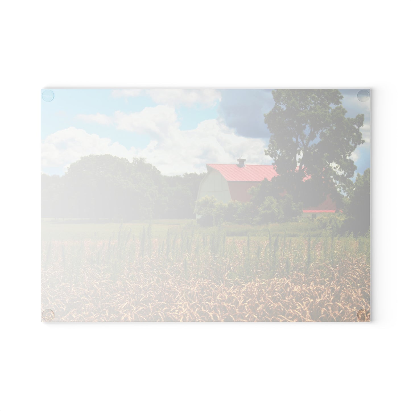 U R There Photography Northern White Rustic Farmhouse Tempered-Glass Cutting Board 8 "x 11"