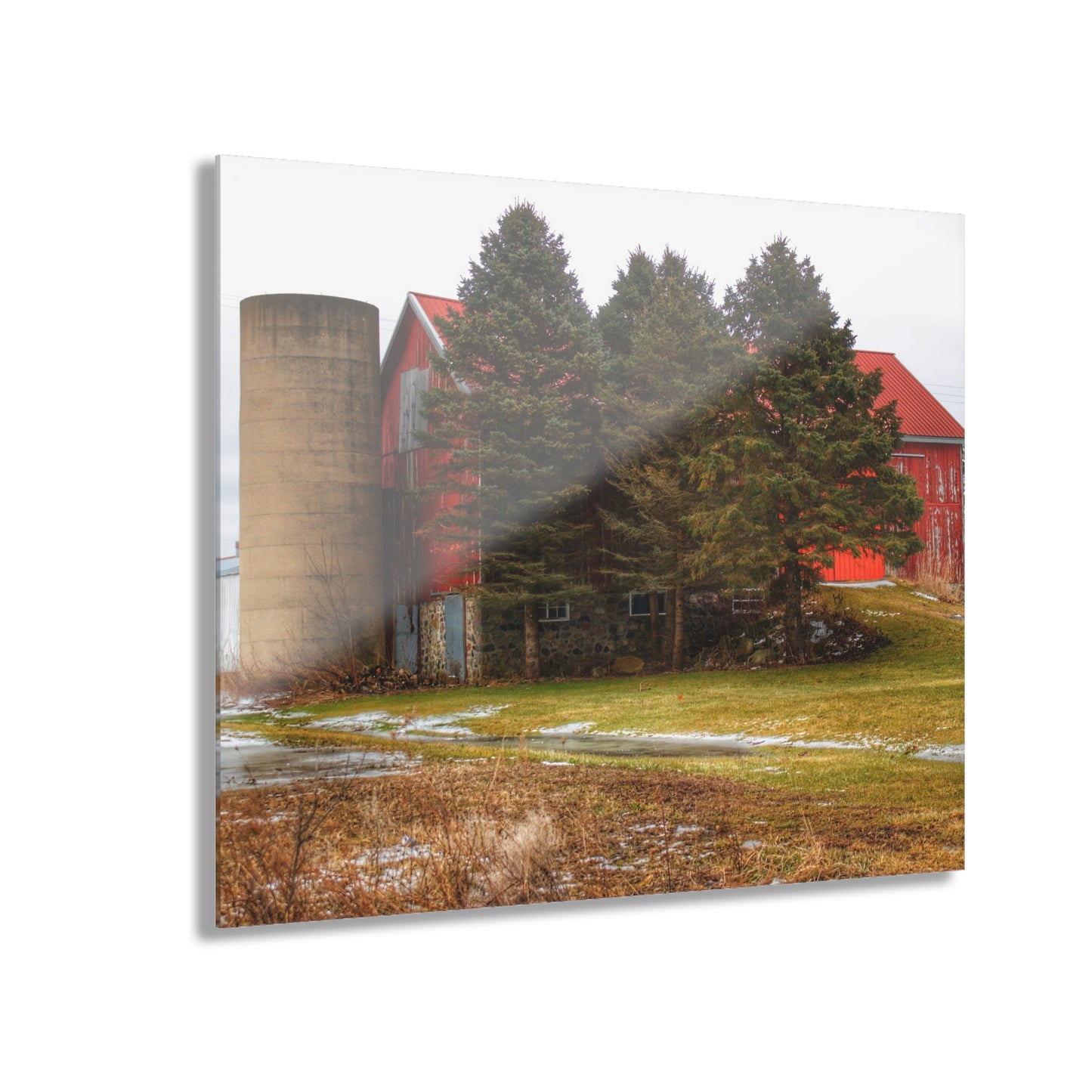 U R There Photography Laur Road Red Among the Pines III Rustic Farmhouse Acrylic Wall Print