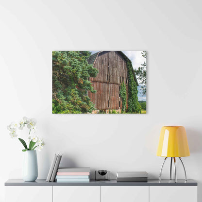 U R There Photography North Branch Ivy Grey I Rustic Farmhouse Acrylic Wall Print