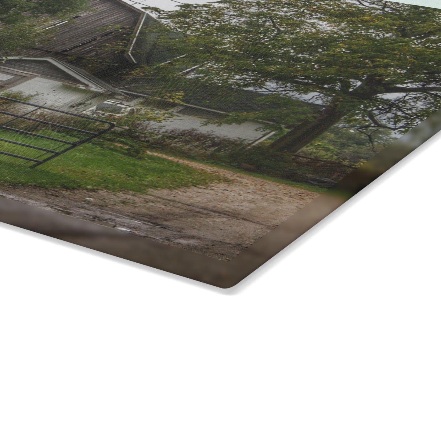 U R There Photography Noble Road Hidden Grey Rustic Farmhouse Tempered-Glass Cutting Board
