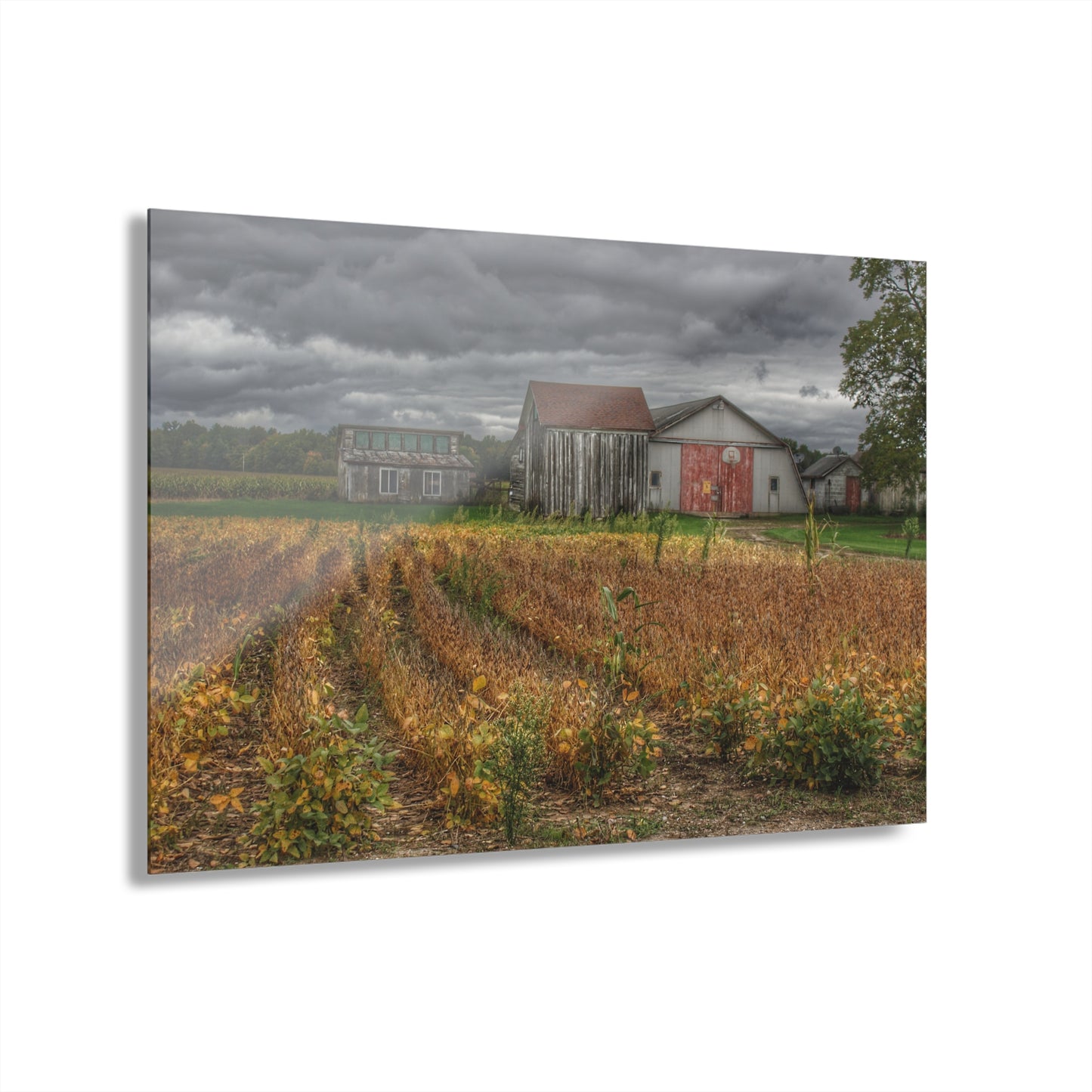 U R There Photography Murphy Lake Road Quonset Clan Rustic Farmhouse Acrylic Wall Print