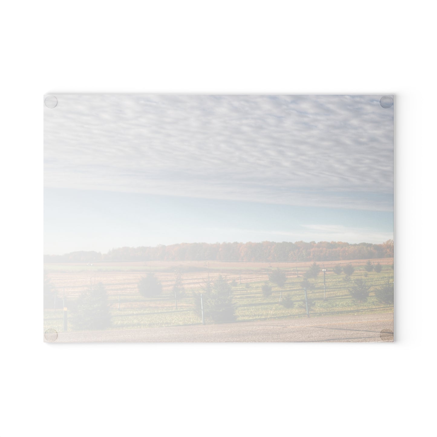 U R There Photography Fences, Firs and Fall Rustic Farmhouse Tempered-Glass Cutting Board