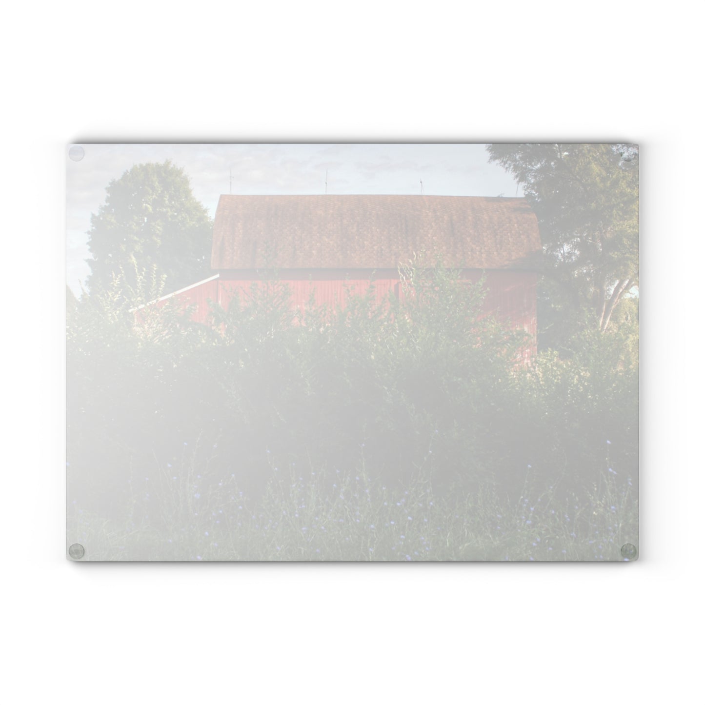 U R There Photography Genesee Road Red I Rustic Farmhouse Tempered-Glass Cutting Board