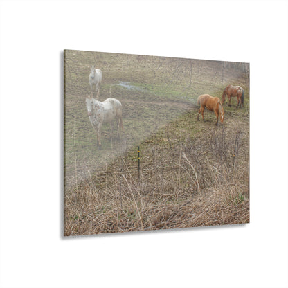 Barn Boutique Modern Farmhouse Acrylic Wall Print| Horses of Barnes Road II