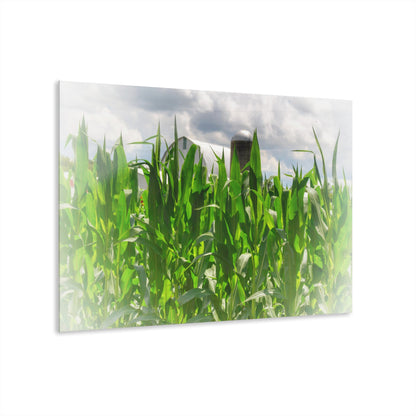 U R There Photography Beyond the Corn in Millington Rustic Farmhouse Acrylic Wall Print