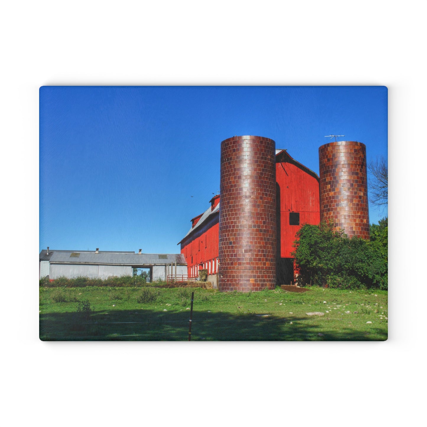 U R There Photography Baldwin Red I Rustic Farmhouse Tempered-Glass Cutting Board