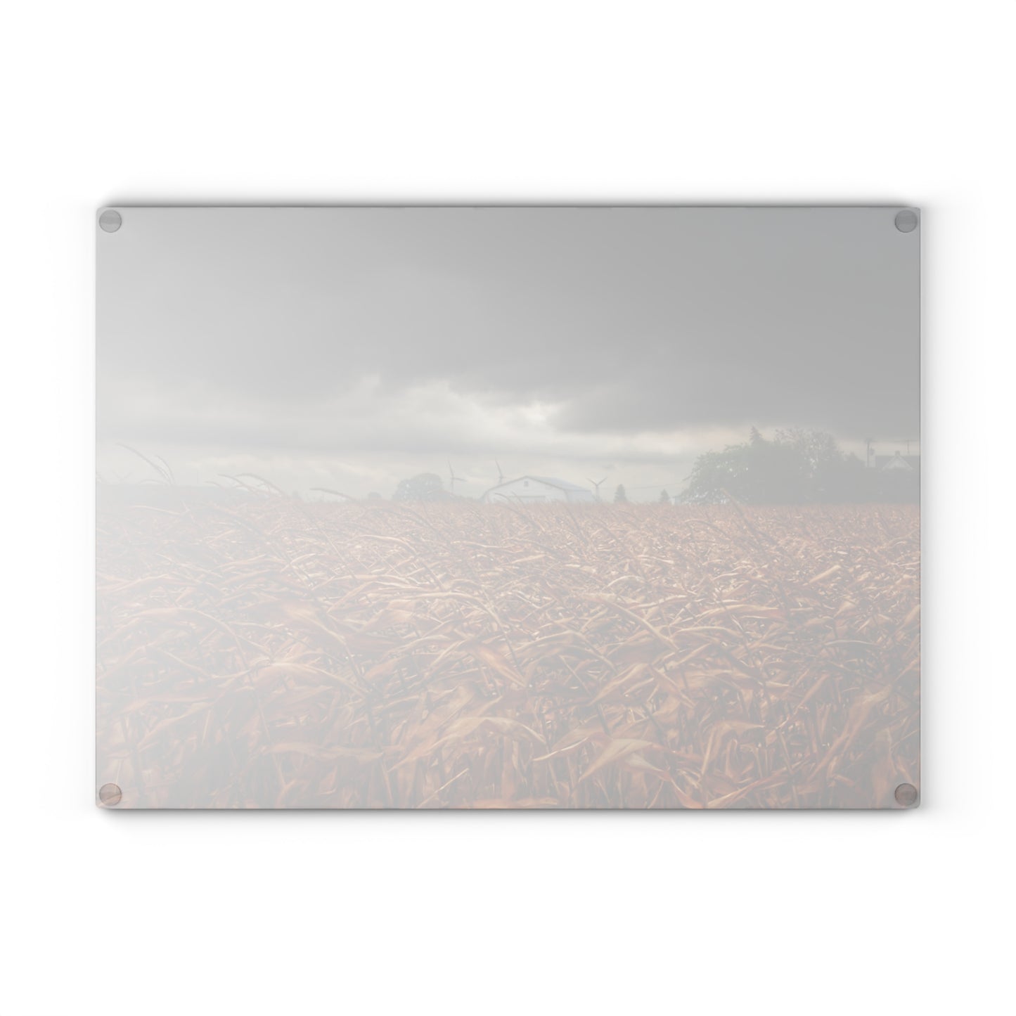 U R There Photography Garner Road Hidden White Rustic Farmhouse Tempered-Glass Cutting Board