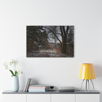 U R There Photography Willard Road Hidden Grey Rustic Farmhouse Acrylic Wall Print