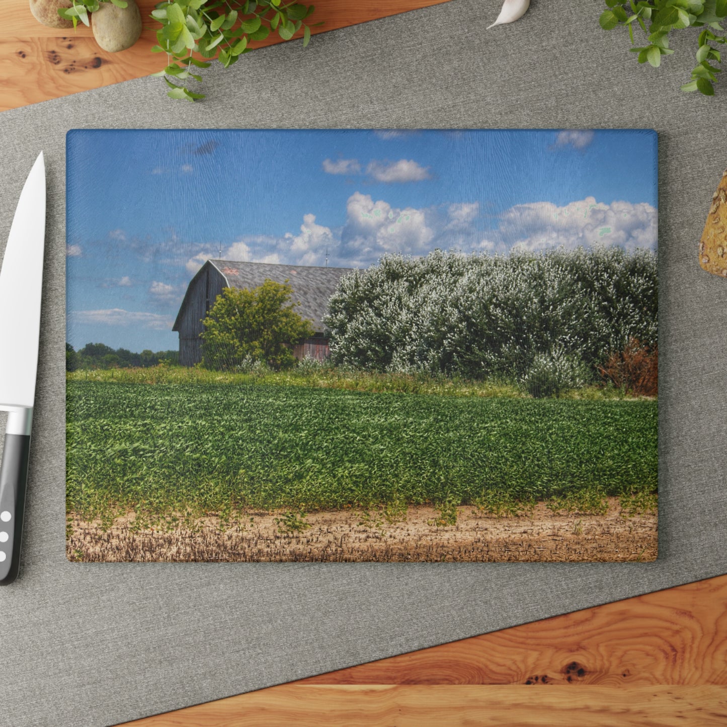 U R There Photography Lake Road Grey Rustic Farmhouse Tempered-Glass Cutting Board