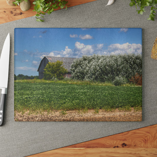 U R There Photography Lake Road Grey Rustic Farmhouse Tempered-Glass Cutting Board