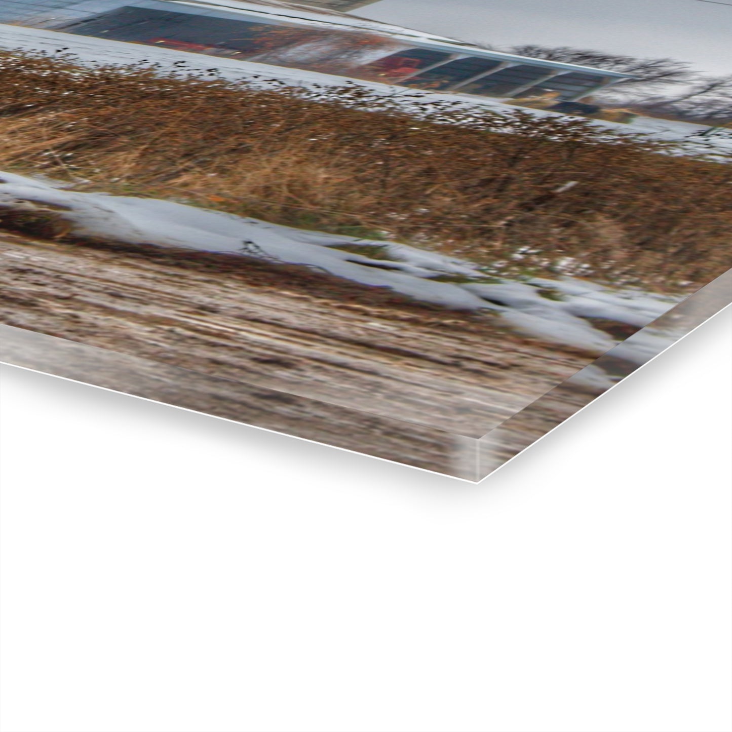 U R There Photography Noble Road Blue Cow Barn Rustic Farmhouse Acrylic Wall Print