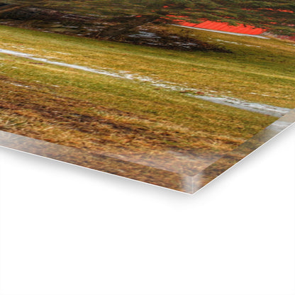 U R There Photography Laur Road Red Among the Pines III Rustic Farmhouse Acrylic Wall Print