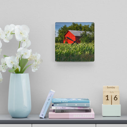 U R There Photography Willard Road Red III Rustic Farmhouse Acrylic Analog Wall Clock