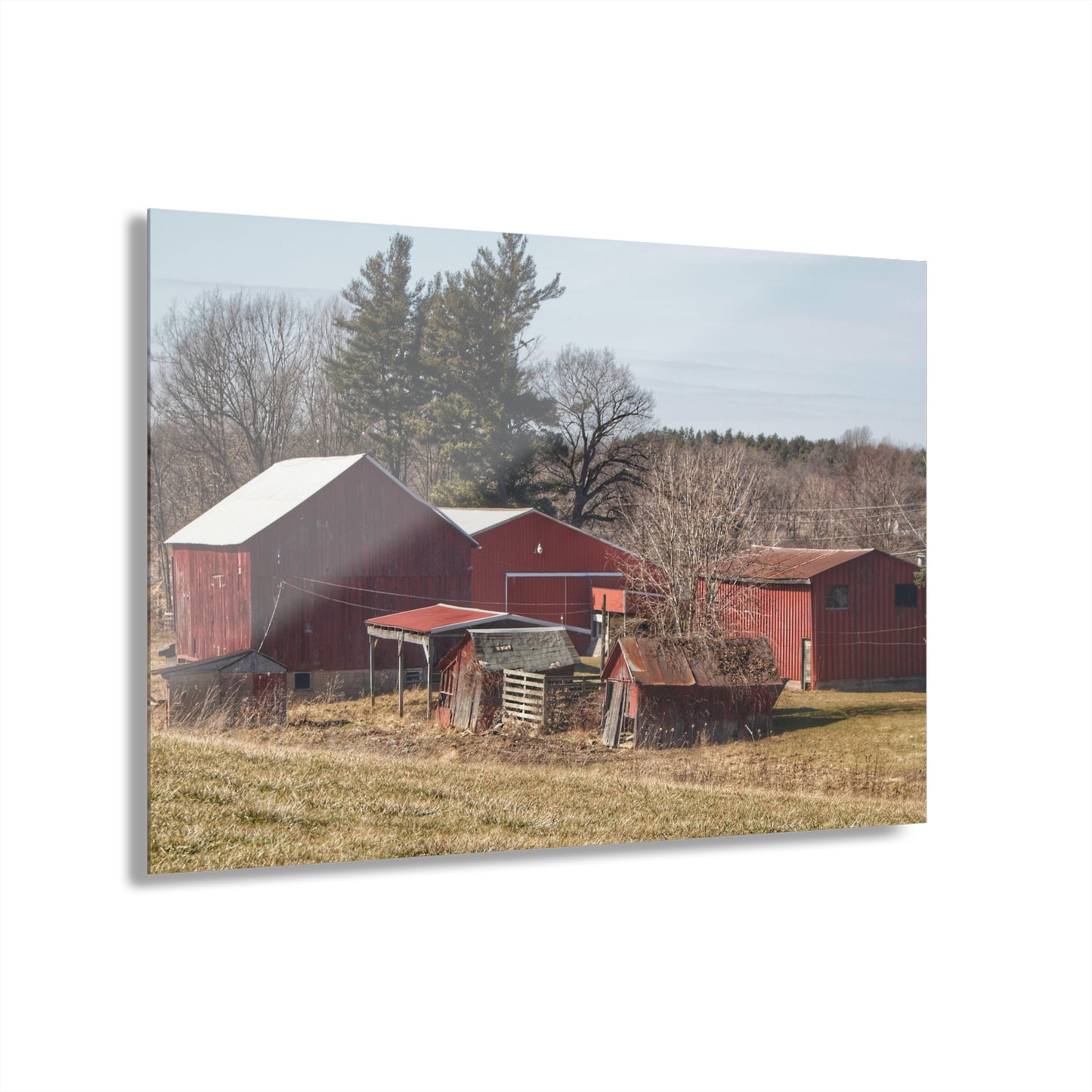 U R There Photography Bronson Lake Reds Rustic Farmhouse Acrylic Wall Print