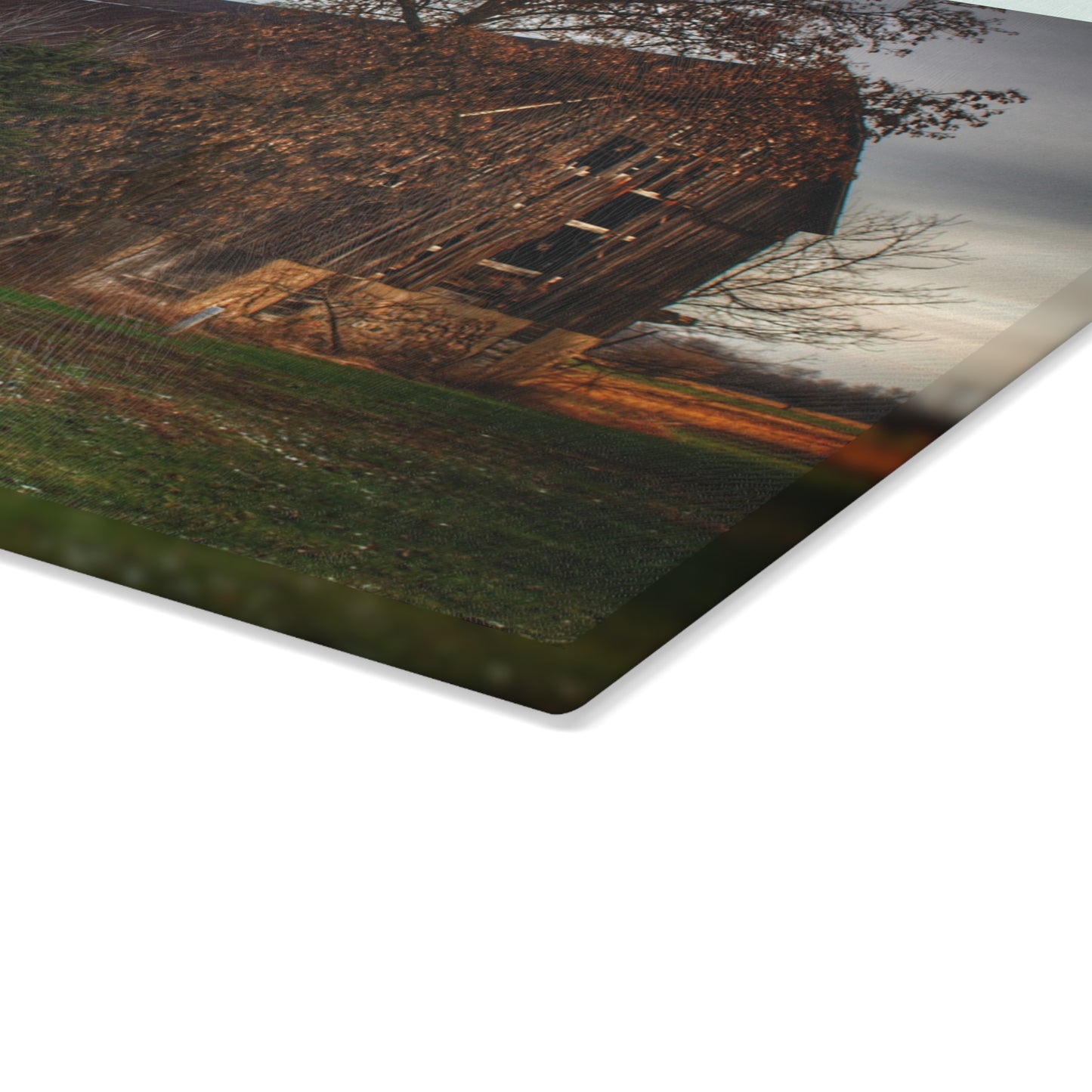 U R There Photography Melvin Grey Rustic Farmhouse Tempered-Glass Cutting Board