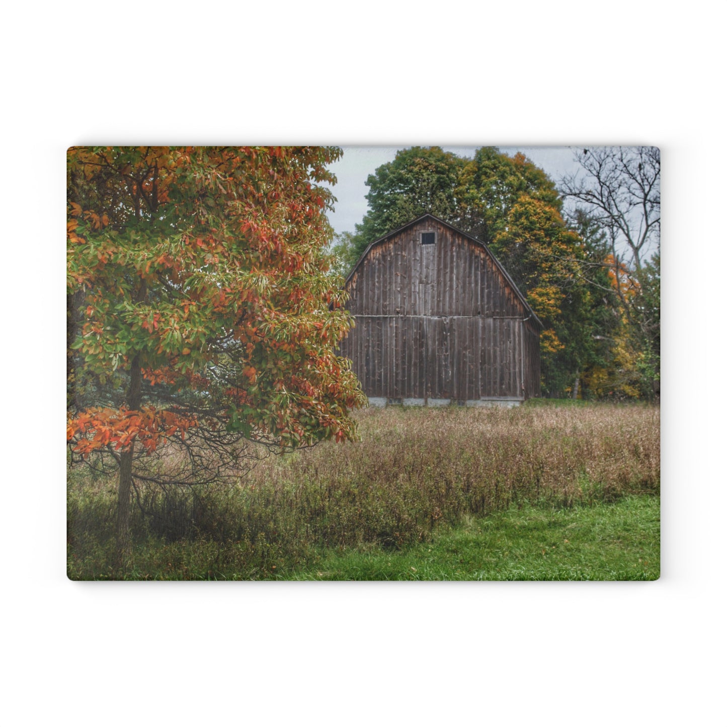 U R There Photography Mount Morris Road Grey in the Fall Rustic Farmhouse Tempered-Glass Cutting Board