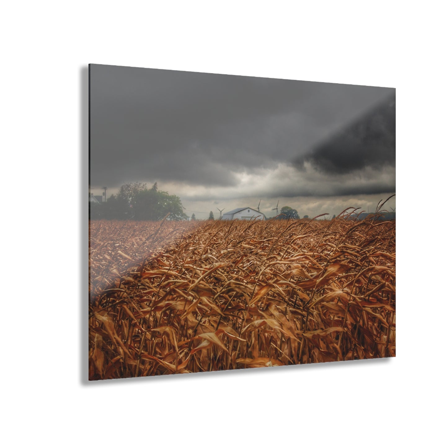 U R There Photography Garner Road Hidden White Rustic Farmhouse Acrylic Wall Print