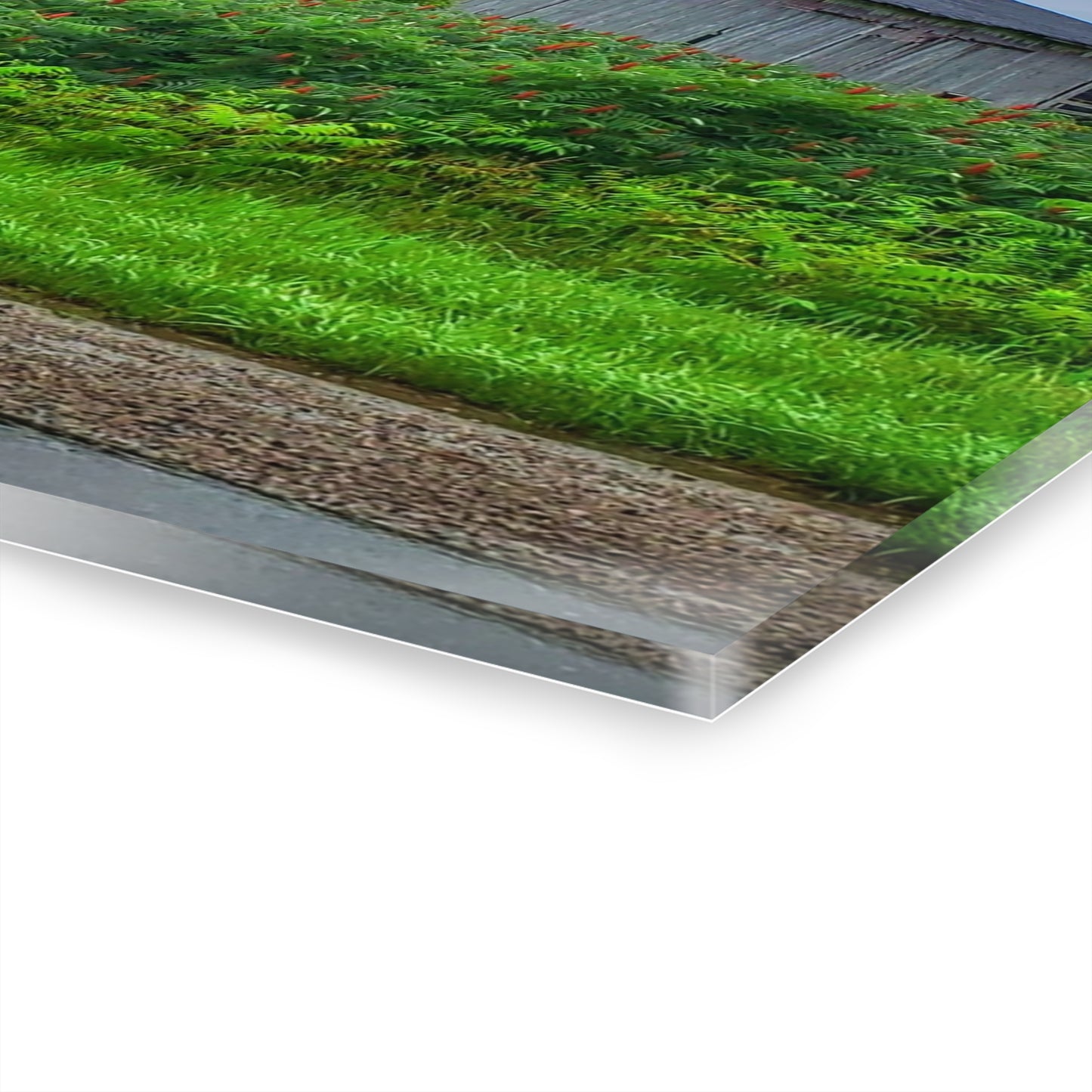 U R There Photography Metamora M-24 Grey IV Rustic Farmhouse Acrylic Wall Print