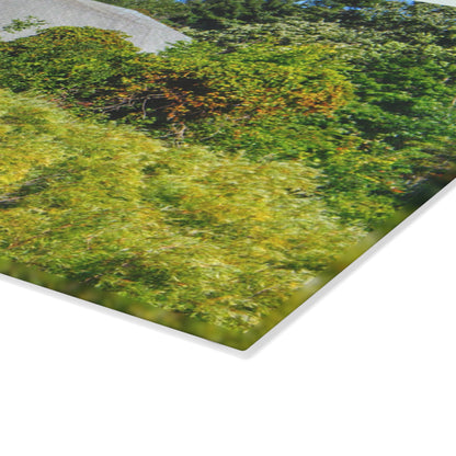 U R There Photography Saginaw Road Hidden Grey Rustic Farmhouse Tempered-Glass Cutting Board