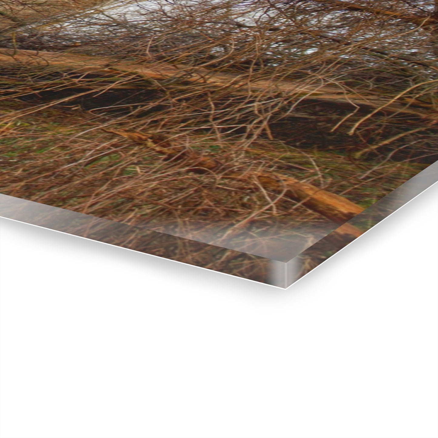 U R There Photography Hidden Silo of Fostoria Rustic Farmhouse Acrylic Wall Print