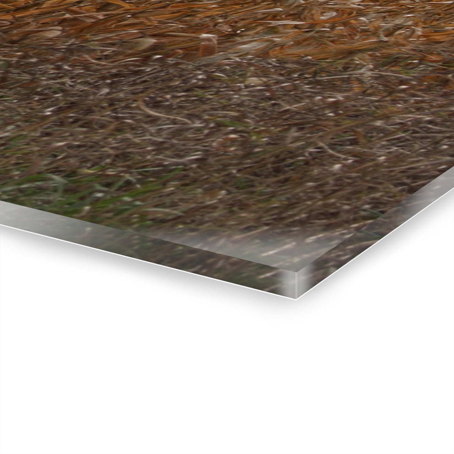 U R There Photography North State Road Grey Rustic Farmhouse Acrylic Wall Print