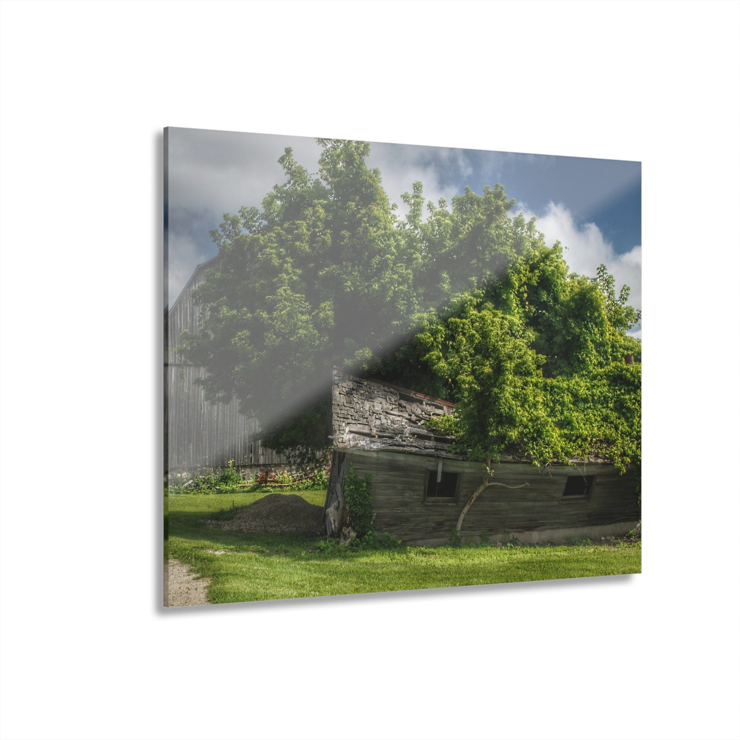 U R There Photography Brown City Road Barn and Buddy I Rustic Farmhouse Acrylic Wall Print