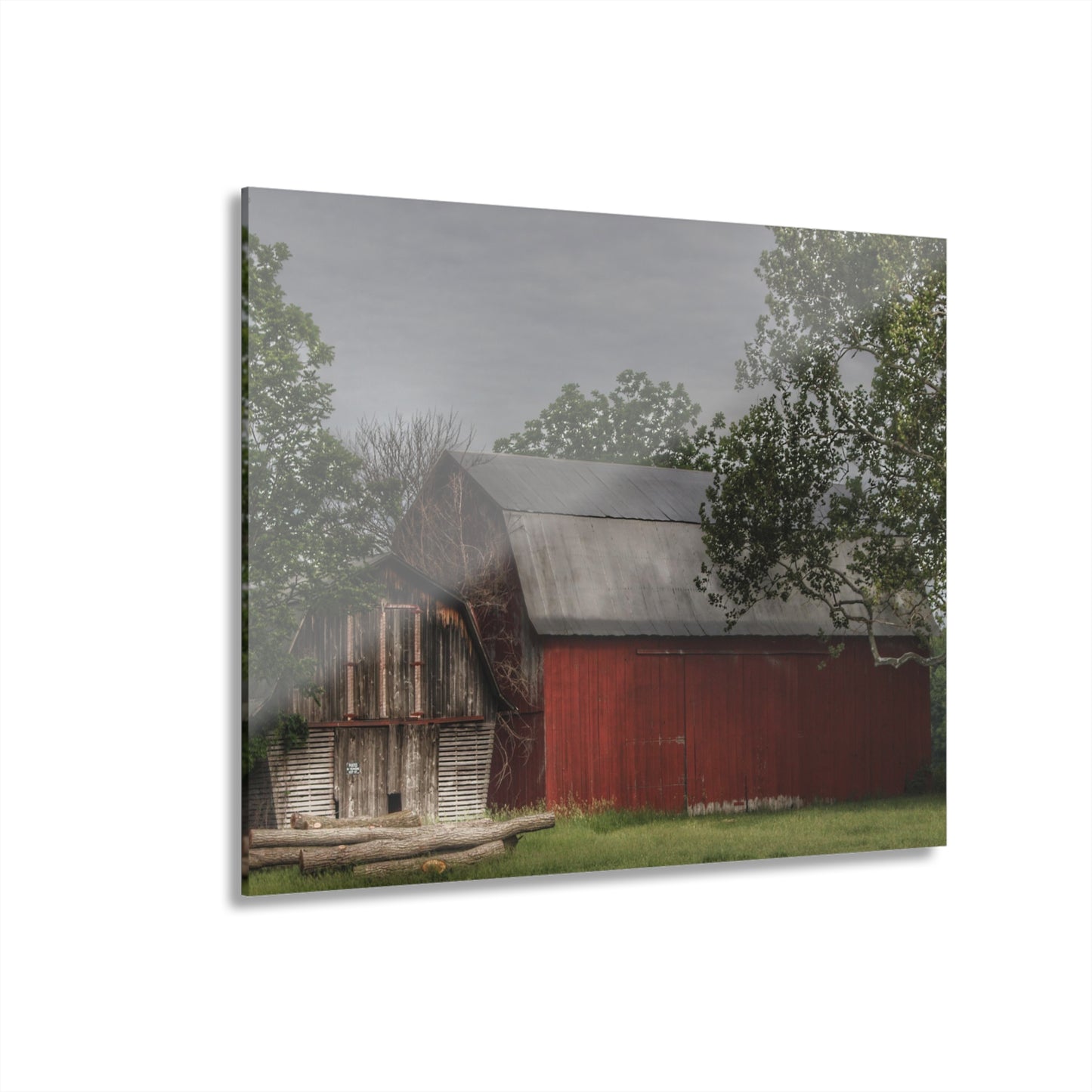 U R There Photography Barkley Road Buddies Rustic Farmhouse Acrylic Wall Print