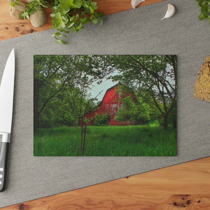 U R There Photography Bird Road Red Rustic Farmhouse Tempered-Glass Cutting Board