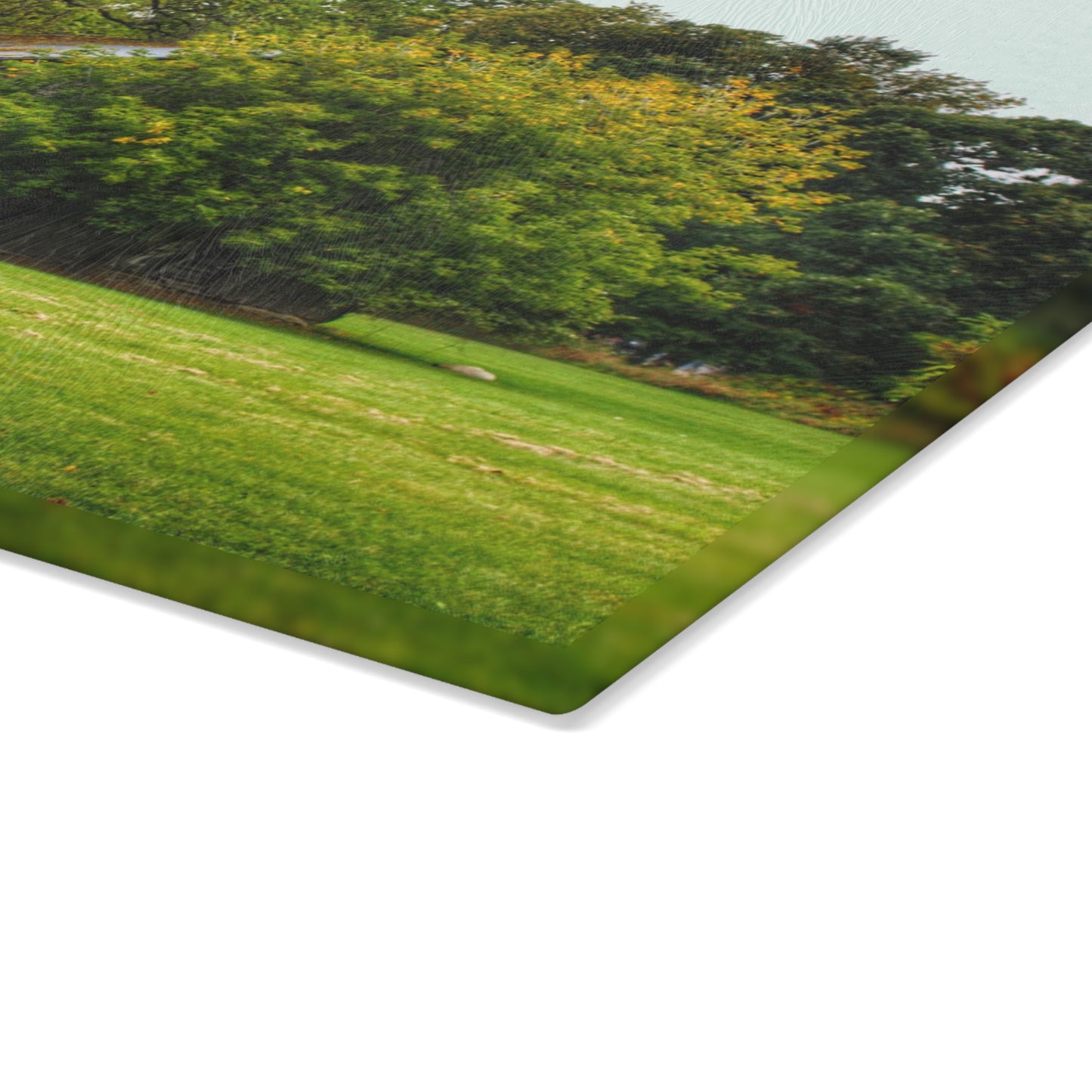 U R There Photography Hidden Past I Rustic Farmhouse Tempered-Glass Cutting Board