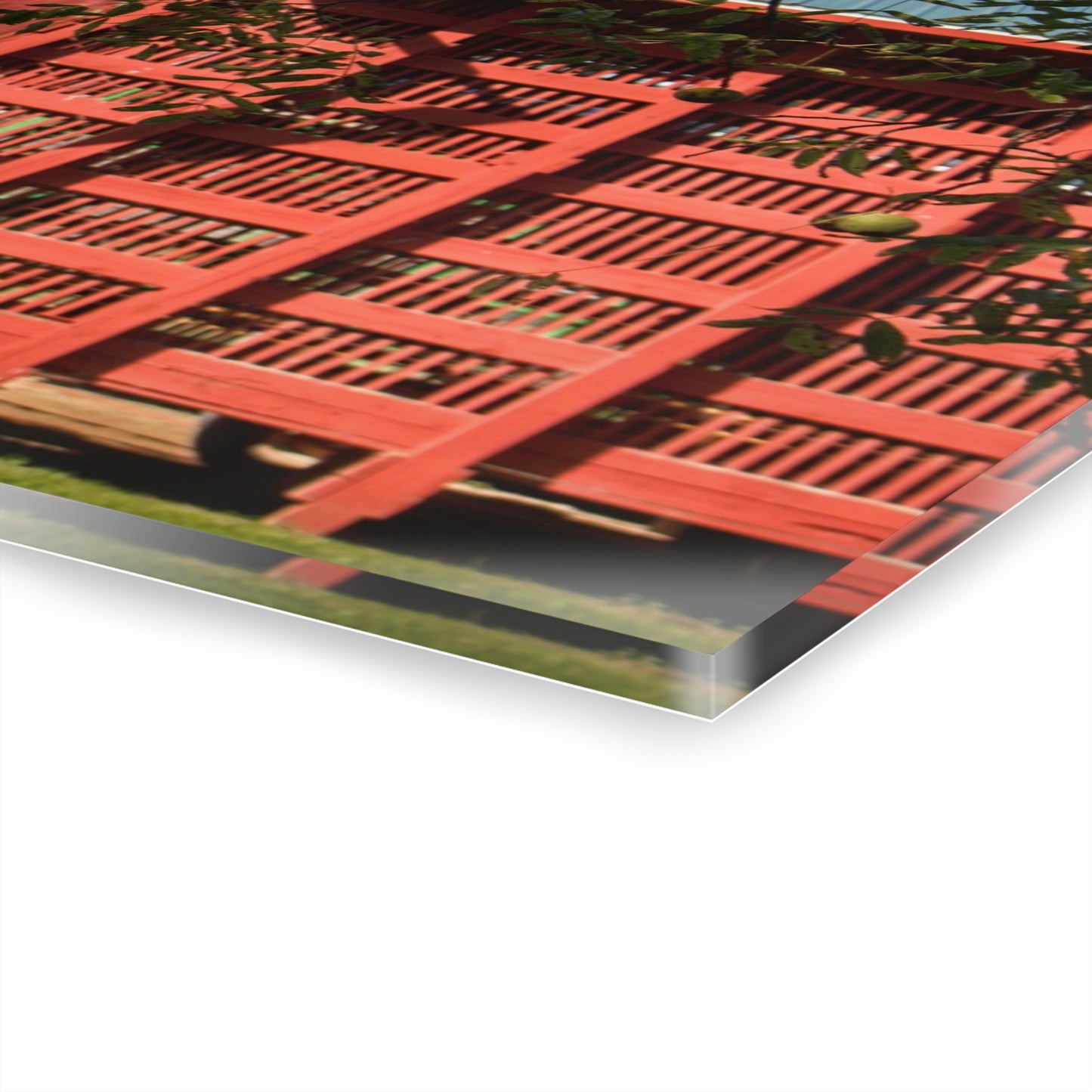 U R There Photography Gardner Road Red I Rustic Farmhouse Acrylic Wall Print