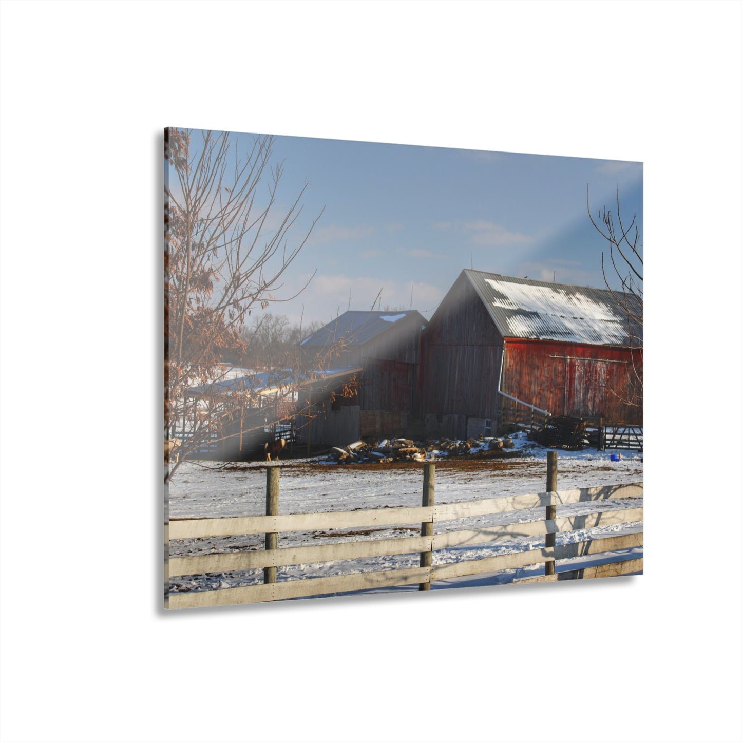 U R There Photography Attica Reds Rustic Farmhouse Acrylic Wall Print