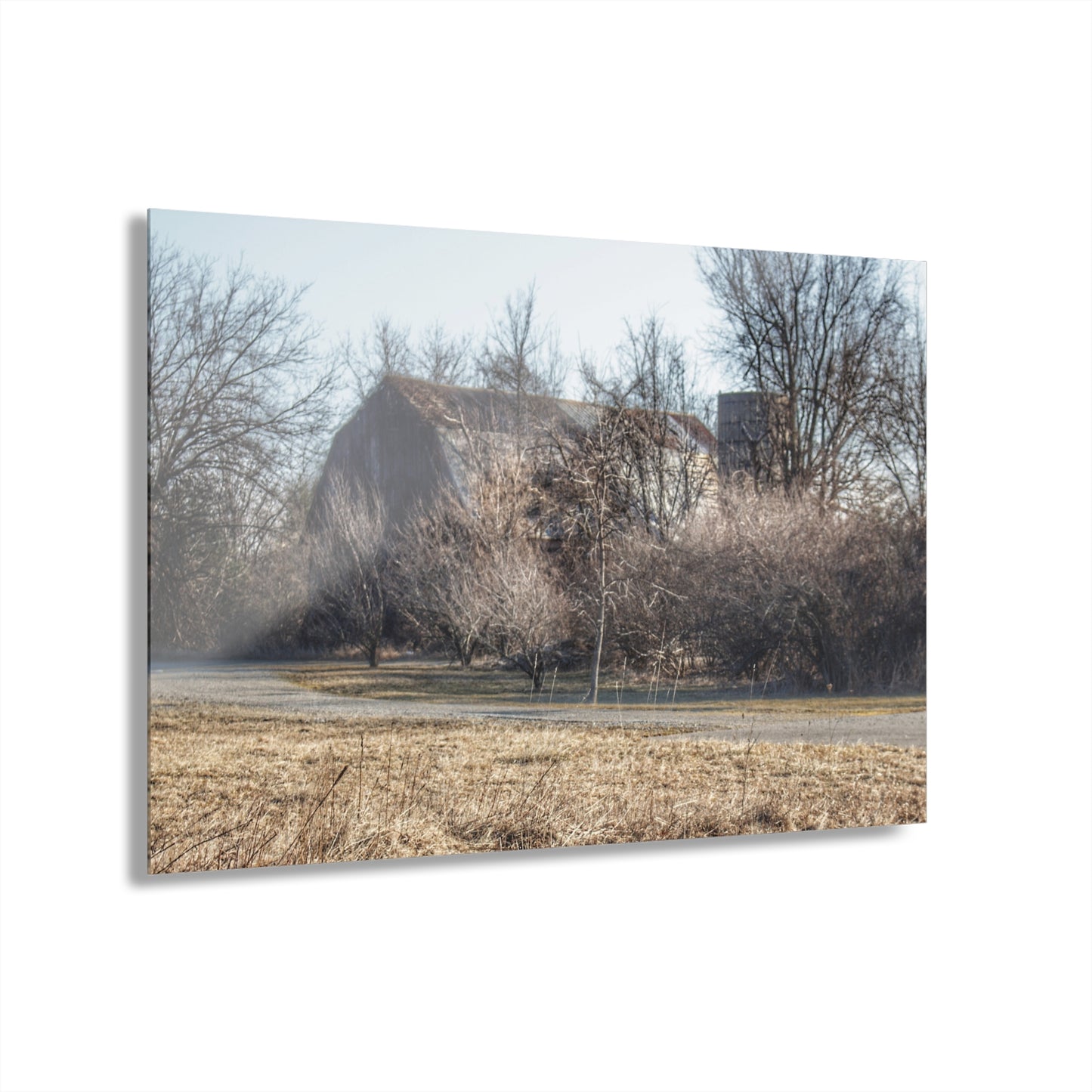 U R There Photography Weyer Road Hidden Rustic Farmhouse Acrylic Wall Print