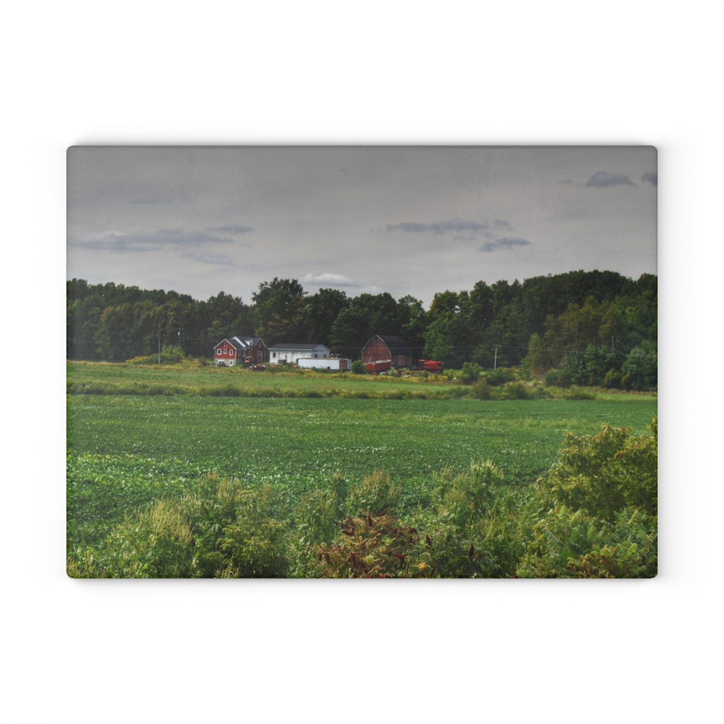 U R There Photography Across the Field in Silverwood Rustic Farmhouse Tempered-Glass Cutting Board