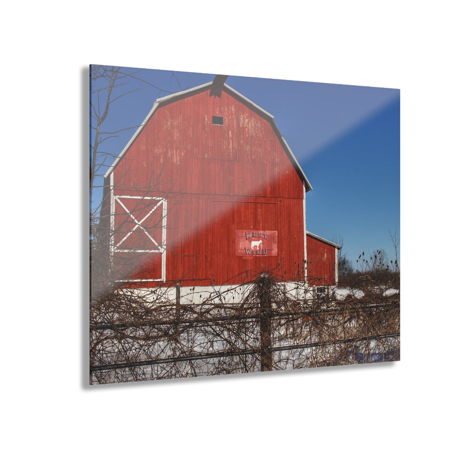 U R There Photography Vassar Red Wild Rustic Farmhouse Acrylic Wall Print