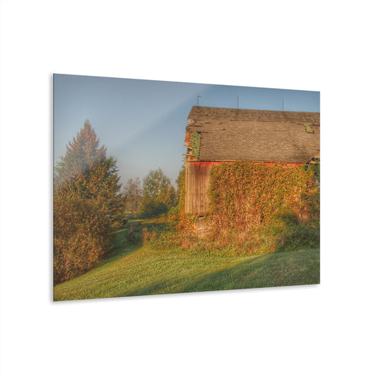 U R There Photography Bearanger Road Red Rustic Farmhouse Acrylic Wall Print